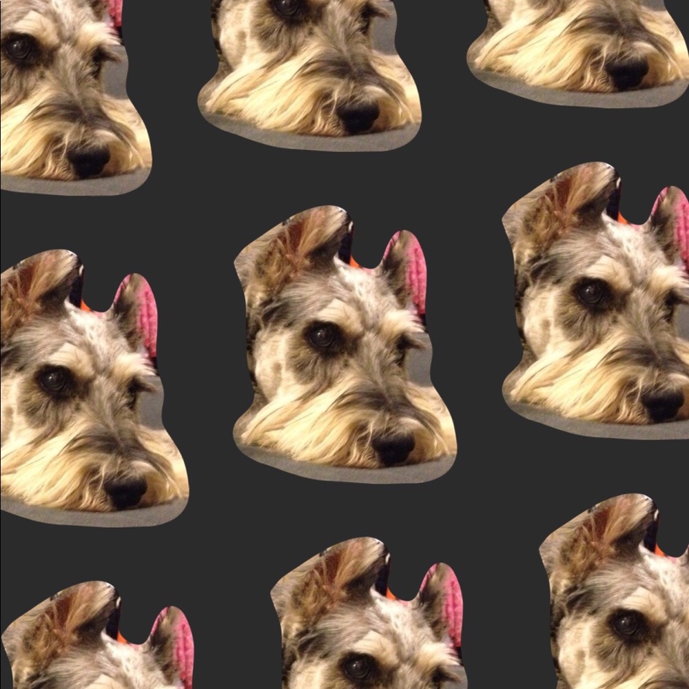 Meet your Posher, Erika